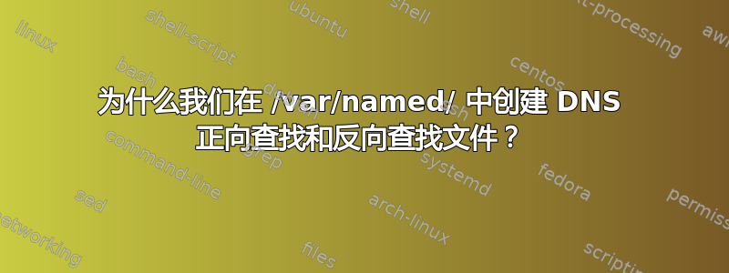 为什么我们在 /var/named/ 中创建 DNS 正向查找和反向查找文件？