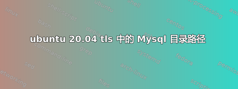 ubuntu 20.04 tls 中的 Mysql 目录路径