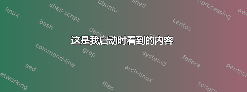 这是我启动时看到的内容