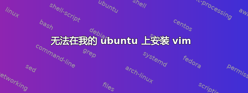 无法在我的 ubuntu 上安装 vim 