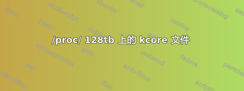 /proc/ 128tb 上的 kcore 文件