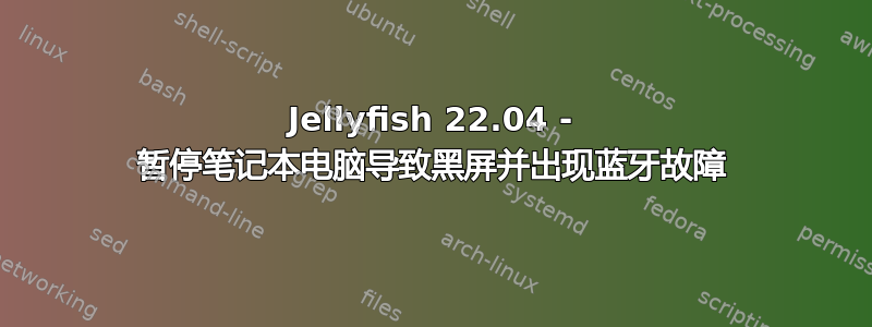 Jellyfish 22.04 - 暂停笔记本电脑导致黑屏并出现蓝牙故障