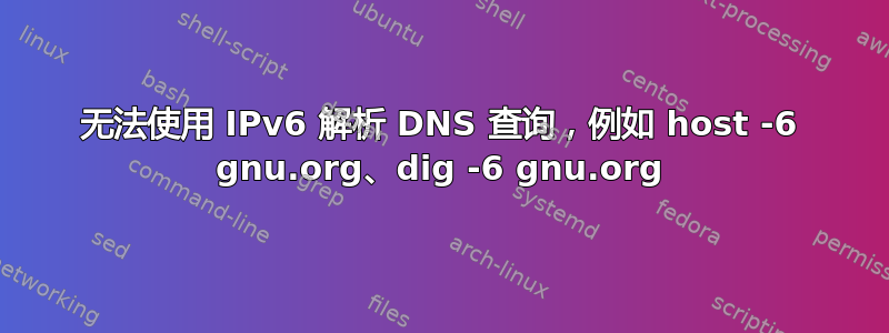 无法使用 IPv6 解析 DNS 查询，例如 host -6 gnu.org、dig -6 gnu.org