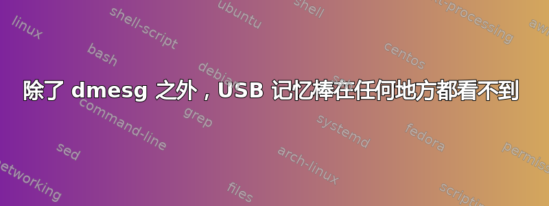 除了 dmesg 之外，USB 记忆棒在任何地方都看不到