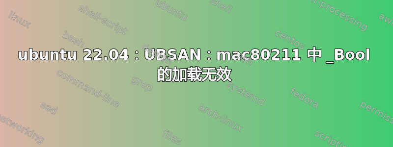 ubuntu 22.04：UBSAN：mac80211 中 _Bool 的加载无效