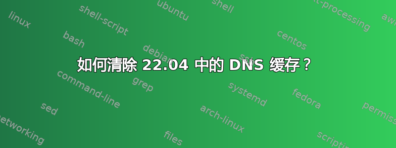 如何清除 22.04 中的 DNS 缓存？