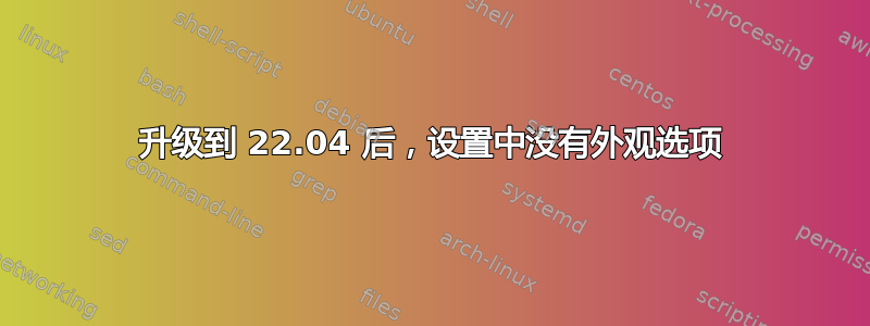 升级到 22.04 后，设置中没有外观选项