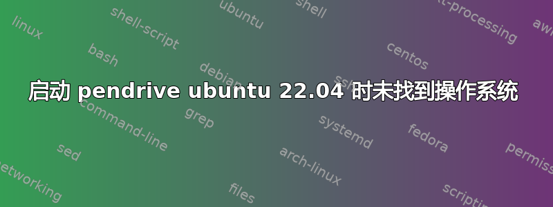 启动 pendrive ubuntu 22.04 时未找到操作系统