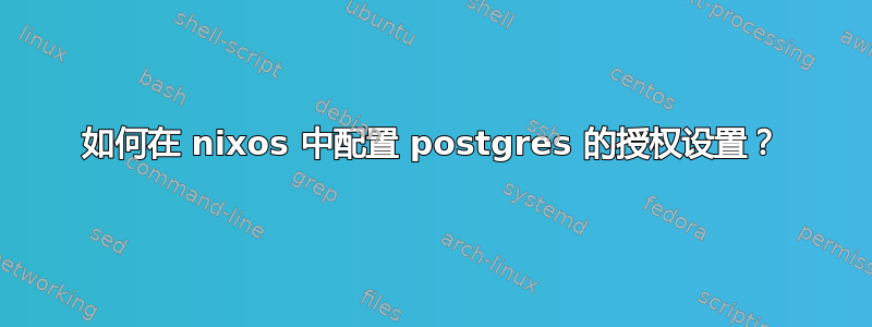 如何在 nixos 中配置 postgres 的授权设置？