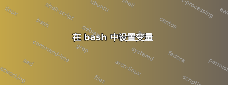 在 bash 中设置变量