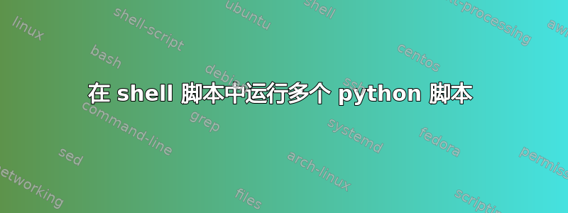 在 shell 脚本中运行多个 python 脚本