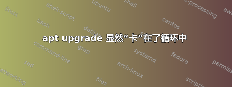 apt upgrade 显然“卡”在了循环中