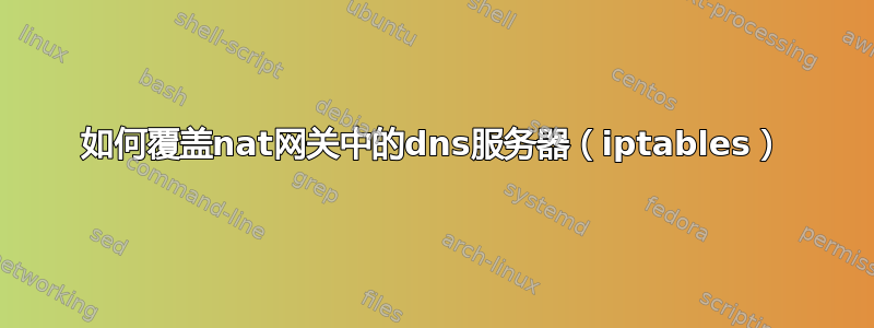 如何覆盖nat网关中的dns服务器（iptables）