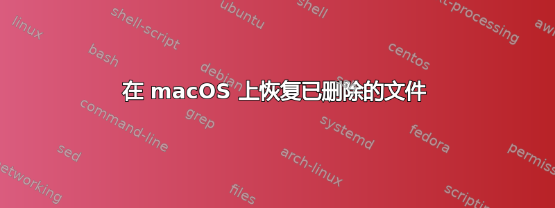 在 macOS 上恢复已删除的文件