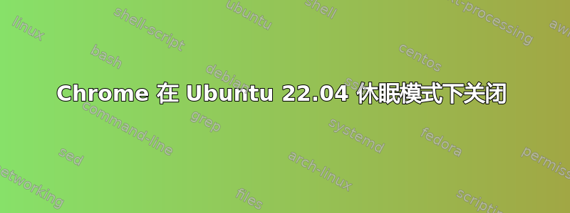 Chrome 在 Ubuntu 22.04 休眠模式下关闭