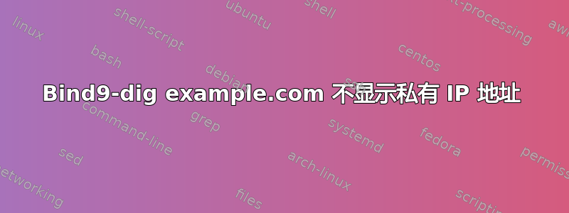 Bind9-dig example.com 不显示私有 IP 地址