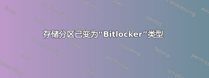 存储分区已变为“Bitlocker”类型