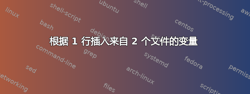 根据 1 行插入来自 2 个文件的变量