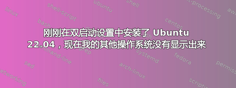 刚刚在双启动设置中安装了 Ubuntu 22.04，现在我的其他操作系统没有显示出来