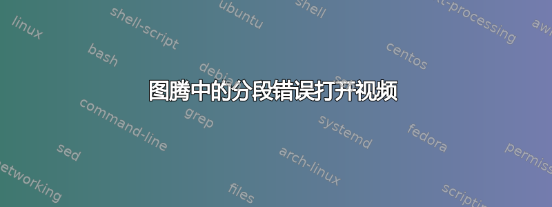 图腾中的分段错误打开视频