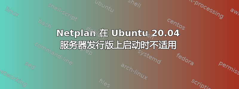 Netplan 在 Ubuntu 20.04 服务器发行版上启动时不适用