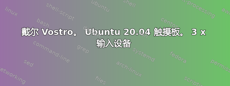 戴尔 Vostro。 Ubuntu 20.04 触摸板。 3 x 输入设备