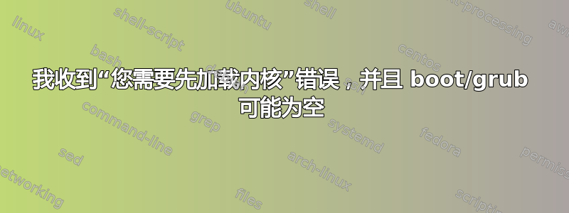 我收到“您需要先加载内核”错误，并且 boot/grub 可能为空