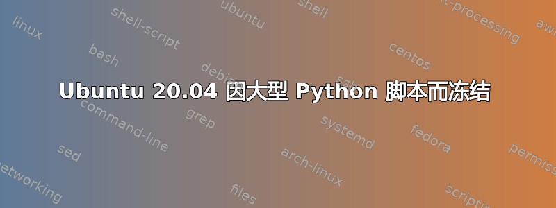 Ubuntu 20.04 因大型 Python 脚本而冻结