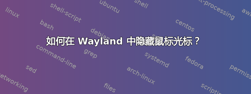 如何在 Wayland 中隐藏鼠标光标？