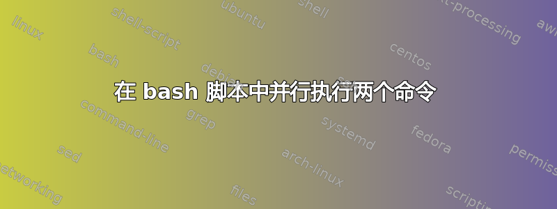 在 bash 脚本中并行执行两个命令