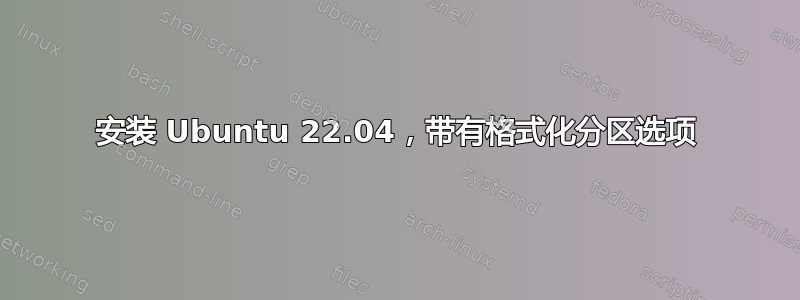 安装 Ubuntu 22.04，带有格式化分区选项