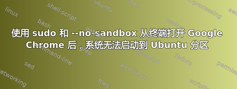 使用 sudo 和 --no-sandbox 从终端打开 Google Chrome 后，系统无法启动到 Ubuntu 分区