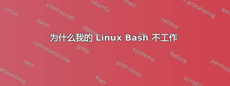 为什么我的 Linux Bash 不工作