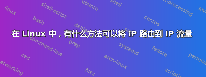 在 Linux 中，有什么方法可以将 IP 路由到 IP 流量