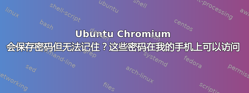 Ubuntu Chromium 会保存密码但无法记住？这些密码在我的手机上可以访问