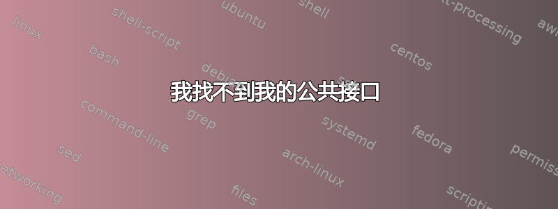 我找不到我的公共接口