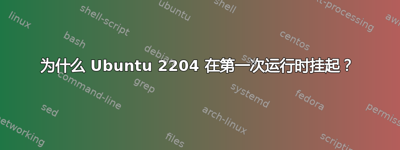 为什么 Ubuntu 2204 在第一次运行时挂起？