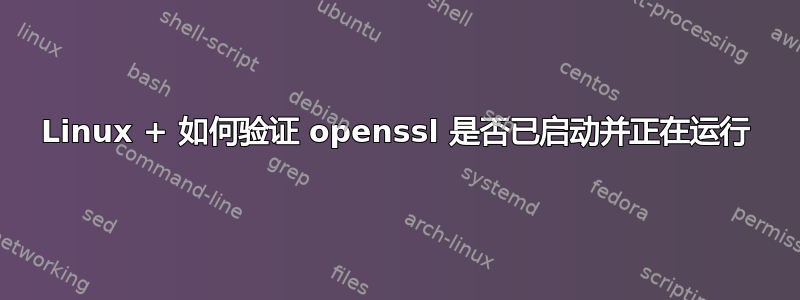 Linux + 如何验证 openssl 是否已启动并正在运行