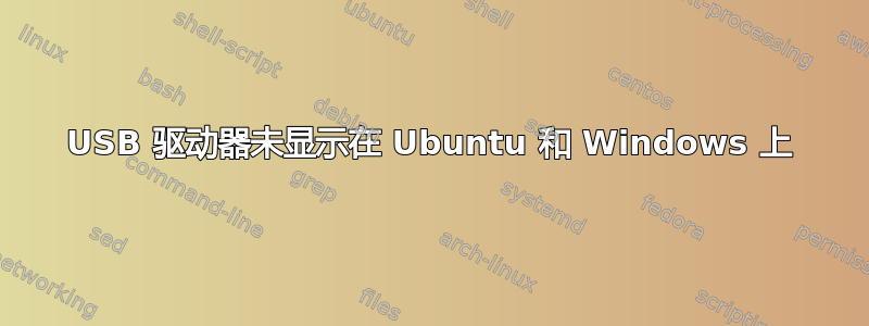 USB 驱动器未显示在 Ubuntu 和 Windows 上