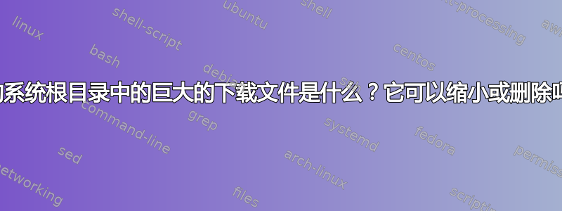 我的系统根目录中的巨大的下载文件是什么？它可以缩小或删除吗？