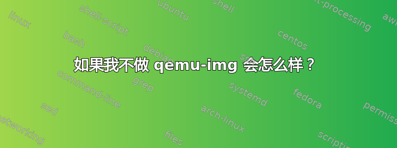 如果我不做 qemu-img 会怎么样？