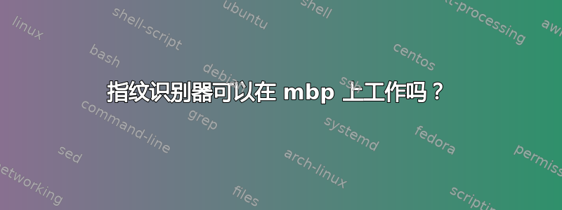 指纹识别器可以在 mbp 上工作吗？