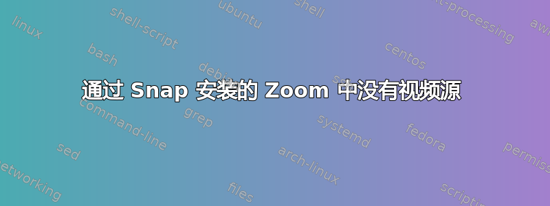 通过 Snap 安装的 Zoom 中没有视频源