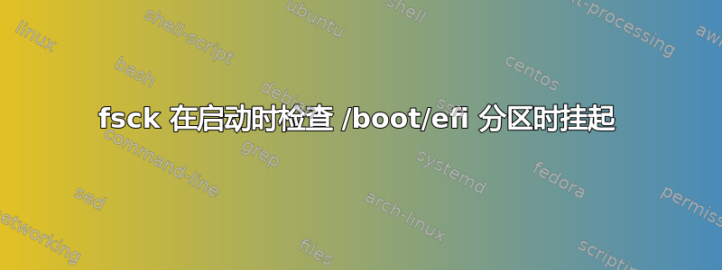 fsck 在启动时检查 /boot/efi 分区时挂起