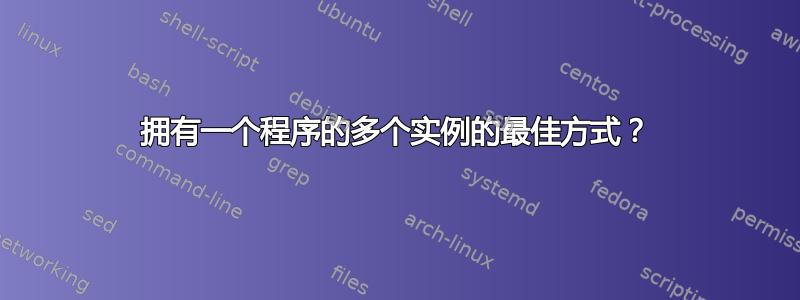 拥有一个程序的多个实例的最佳方式？