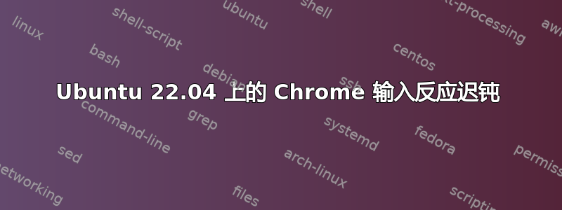 Ubuntu 22.04 上的 Chrome 输入反应迟钝