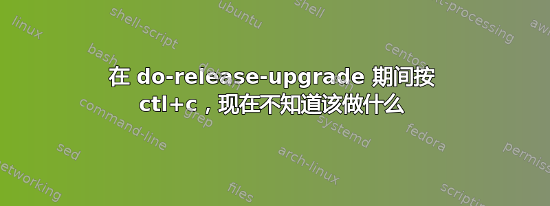 在 do-release-upgrade 期间按 ctl+c，现在不知道该做什么