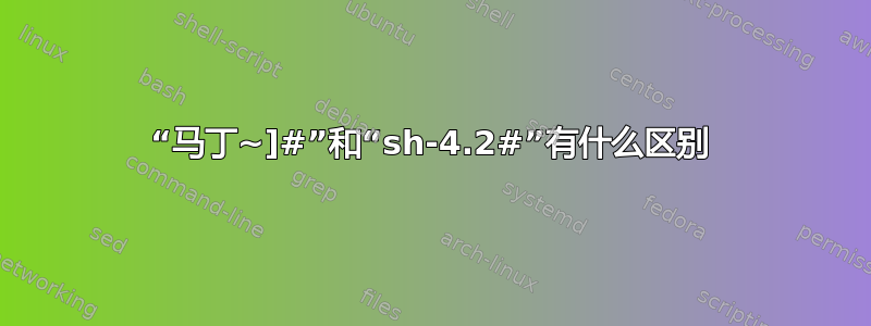 “马丁~]#”和“sh-4.2#”有什么区别