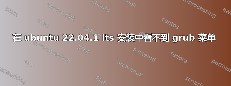 在 ubuntu 22.04.1 lts 安装中看不到 grub 菜单