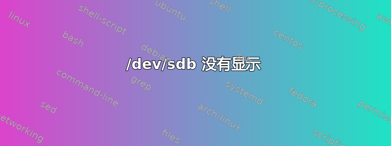 /dev/sdb 没有显示